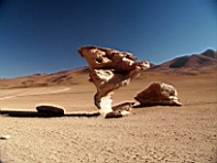 0877 Arbor de piedra 2.jpg